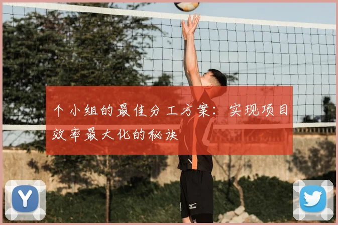 个小组的最佳分工方案：实现项目效率最大化的秘诀