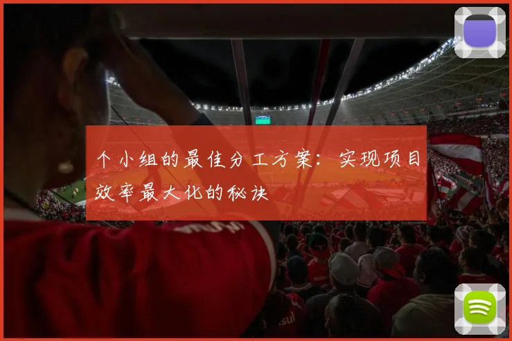 个小组的最佳分工方案：实现项目效率最大化的秘诀